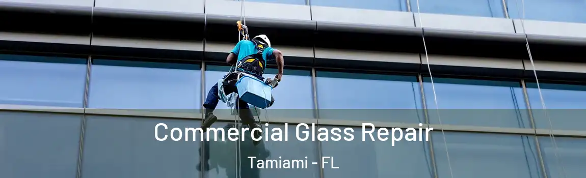 Commercial Glass Repair Tamiami - FL