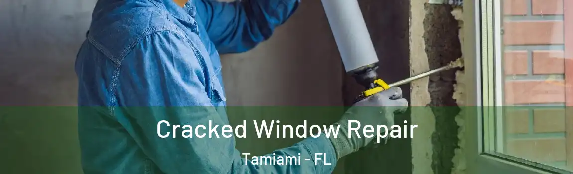 Cracked Window Repair Tamiami - FL