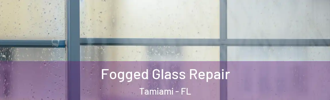 Fogged Glass Repair Tamiami - FL
