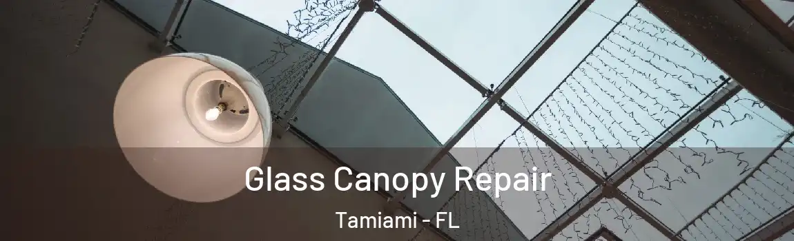 Glass Canopy Repair Tamiami - FL