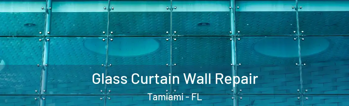 Glass Curtain Wall Repair Tamiami - FL