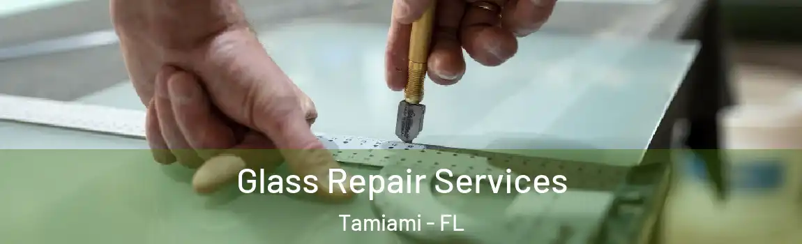 Glass Repair Services Tamiami - FL