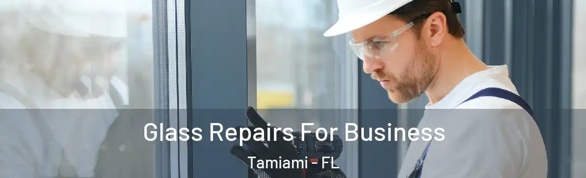 Glass Repairs For Business Tamiami - FL