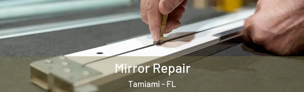 Mirror Repair Tamiami - FL