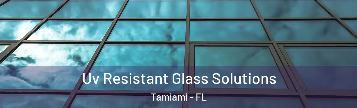 Uv Resistant Glass Solutions Tamiami - FL