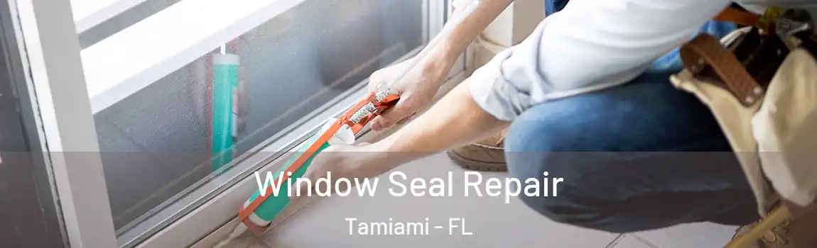 Window Seal Repair Tamiami - FL